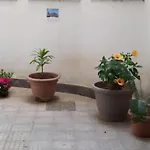 Ballarattik פלרמו
