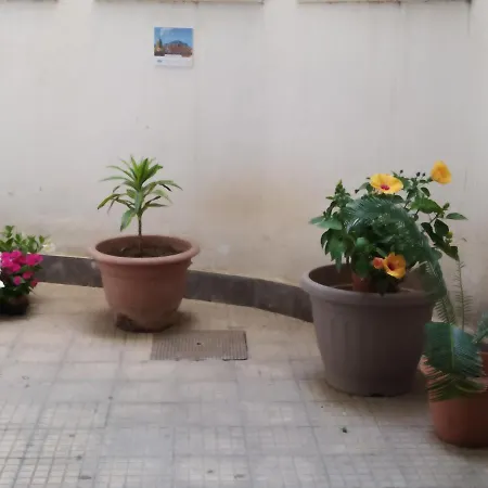 Ballarattik Palerme