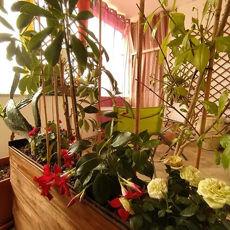 Ballarattik Bed & Breakfast
